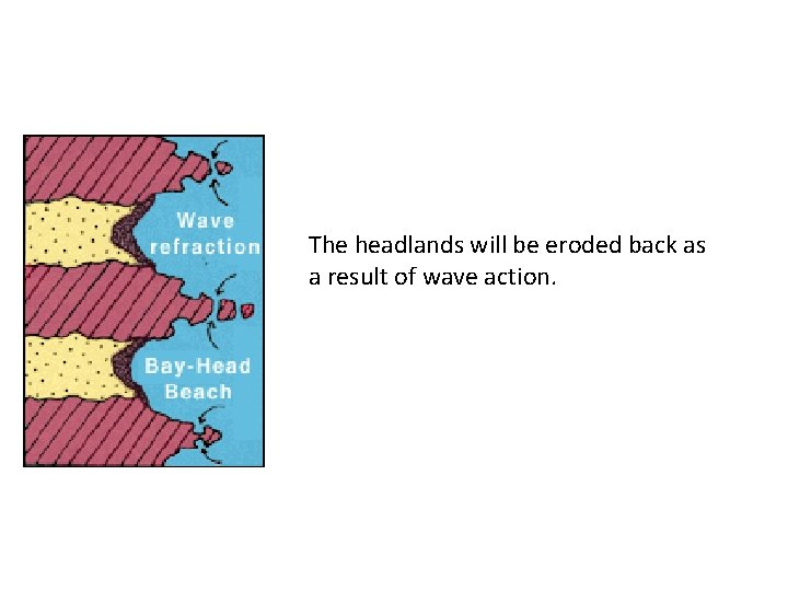The headlands will be eroded back as a result of wave action. 