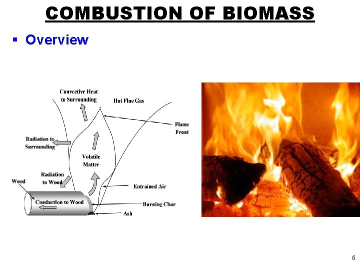COMBUSTION OF BIOMASS § Overview 6 