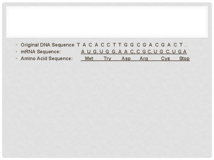  • Original DNA Sequence: T A C C T T G G C