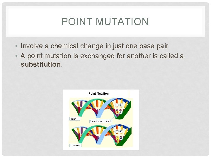 POINT MUTATION • Involve a chemical change in just one base pair. • A