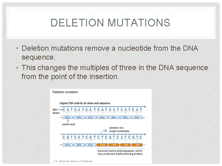 DELETION MUTATIONS • Deletion mutations remove a nucleotide from the DNA sequence. • This