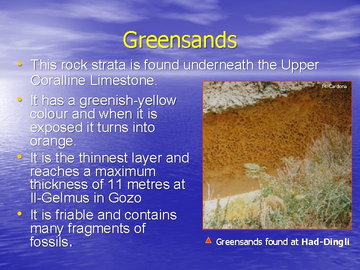 Greensands • This rock strata is found underneath the Upper • • • Coralline