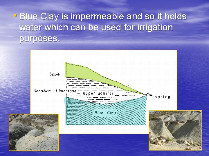  • Blue Clay is impermeable and so it holds water which can be
