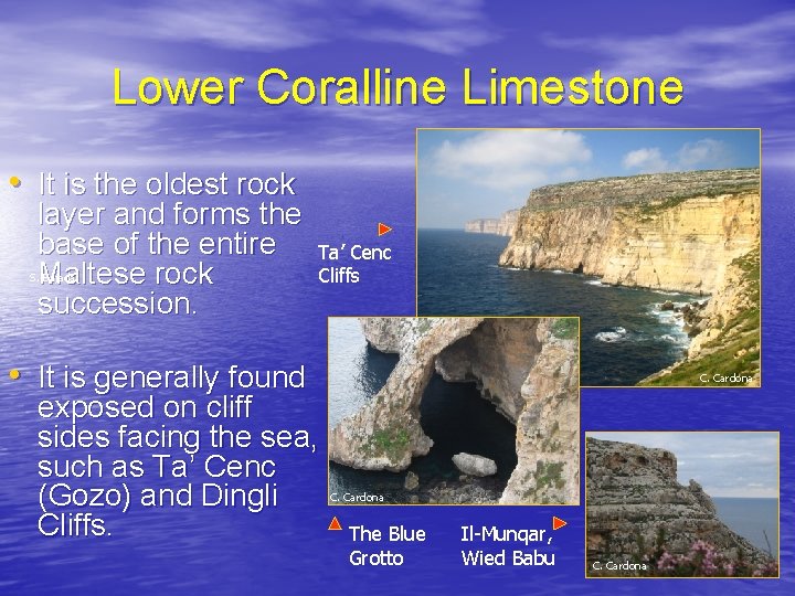 Lower Coralline Limestone • It is the oldest rock layer and forms the base