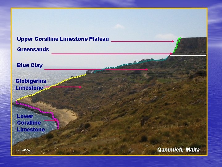 Upper Coralline Limestone Plateau Greensands Blue Clay Globigerina Limestone Lower Coralline Limestone S. Bajada