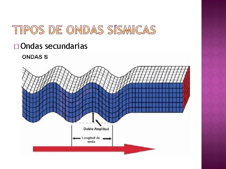 � Ondas secundarias �También llamadas ondas S, transversales o de distorsión por ser las