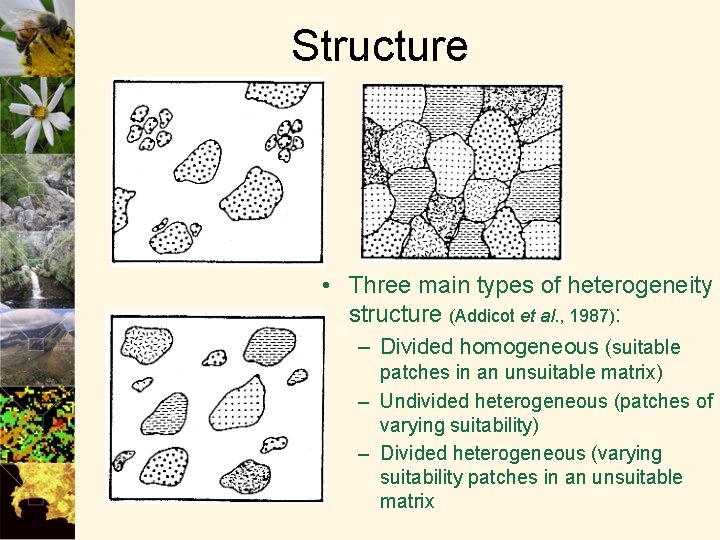 Structure • Three main types of heterogeneity structure (Addicot et al. , 1987): –