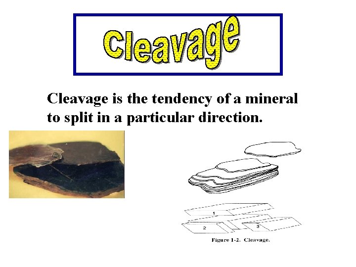 Cleavage is the tendency of a mineral to split in a particular direction. 