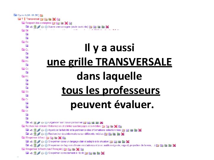 Il y a aussi une grille TRANSVERSALE dans laquelle tous les professeurs peuvent évaluer.