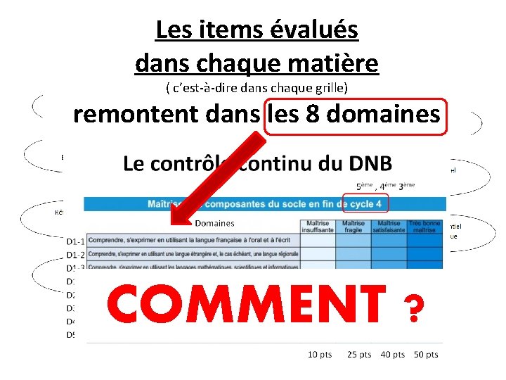 Les items évalués dans chaque matière ( c’est-à-dire dans chaque grille) remontent dans les