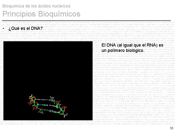 Bioquímica de los ácidos nucleícos Principios Bioquímicos • ¿Qué es el DNA? El DNA