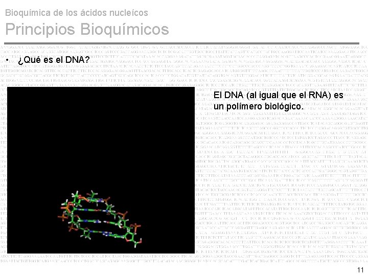 Bioquímica de los ácidos nucleícos Principios Bioquímicos • ¿Qué es el DNA? El DNA