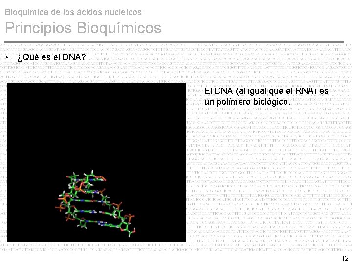 Bioquímica de los ácidos nucleícos Principios Bioquímicos • ¿Qué es el DNA? El DNA