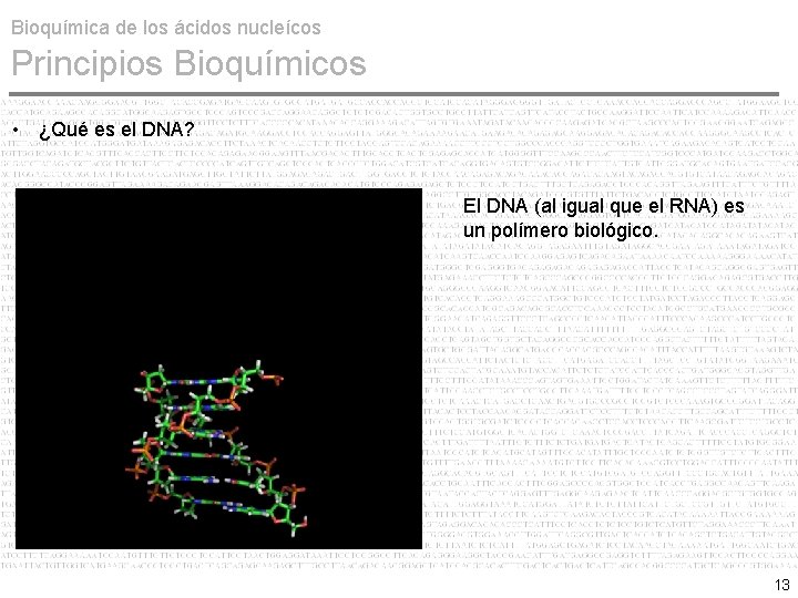 Bioquímica de los ácidos nucleícos Principios Bioquímicos • ¿Qué es el DNA? El DNA