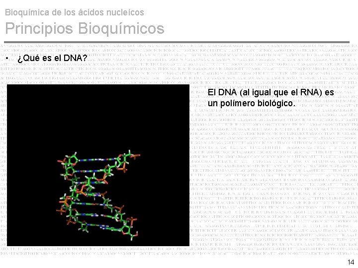 Bioquímica de los ácidos nucleícos Principios Bioquímicos • ¿Qué es el DNA? El DNA