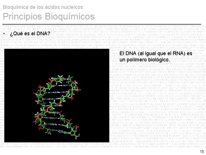 Bioquímica de los ácidos nucleícos Principios Bioquímicos • ¿Qué es el DNA? El DNA