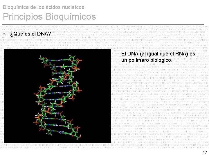 Bioquímica de los ácidos nucleícos Principios Bioquímicos • ¿Qué es el DNA? El DNA