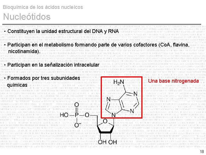 Bioquímica de los ácidos nucleícos Nucleótidos • Constituyen la unidad estructural del DNA y