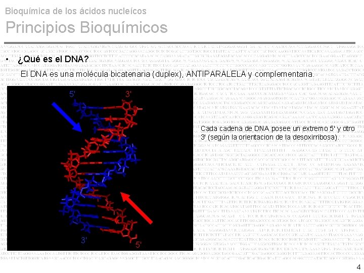 Bioquímica de los ácidos nucleícos Principios Bioquímicos • ¿Qué es el DNA? El DNA