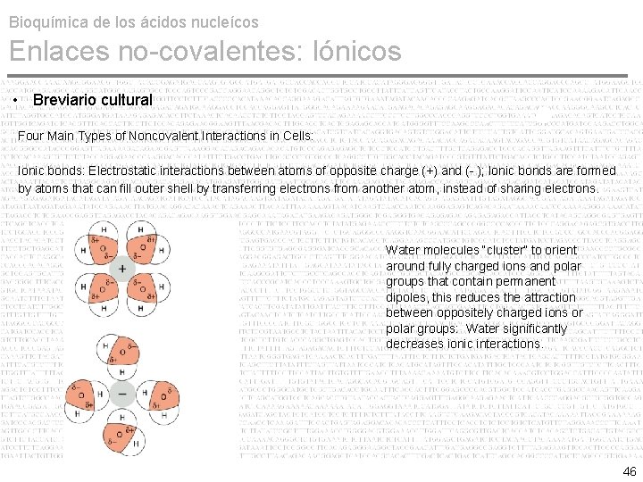 Bioquímica de los ácidos nucleícos Enlaces no-covalentes: Iónicos • Breviario cultural Four Main Types