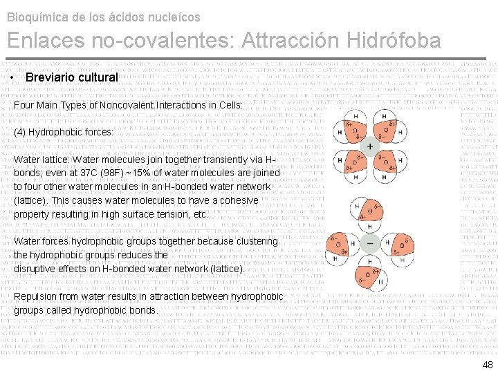 Bioquímica de los ácidos nucleícos Enlaces no-covalentes: Attracción Hidrófoba • Breviario cultural Four Main