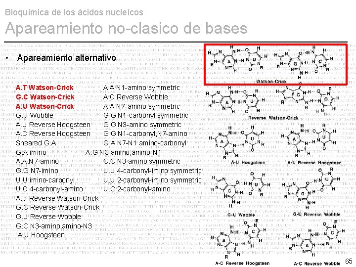 Bioquímica de los ácidos nucleícos Apareamiento no-clasico de bases • Apareamiento alternativo A. T