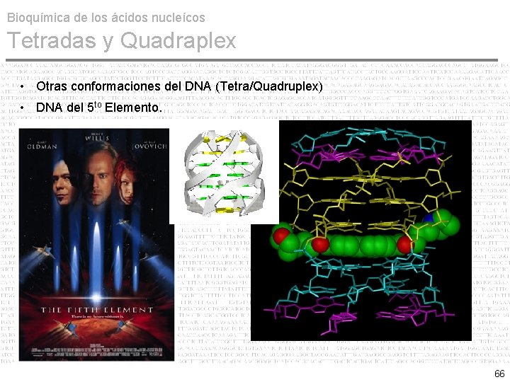 Bioquímica de los ácidos nucleícos Tetradas y Quadraplex • Otras conformaciones del DNA (Tetra/Quadruplex)