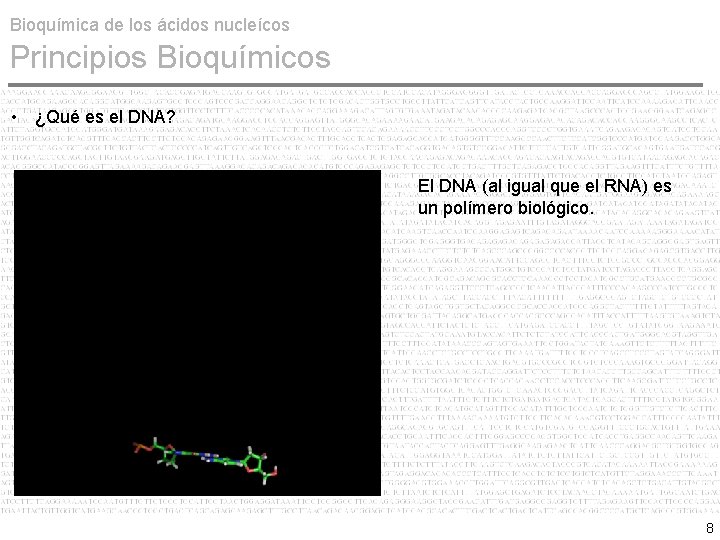 Bioquímica de los ácidos nucleícos Principios Bioquímicos • ¿Qué es el DNA? El DNA