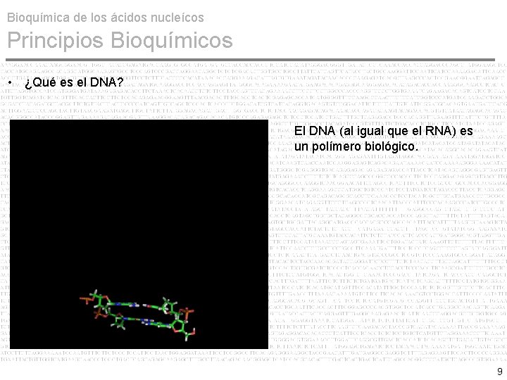 Bioquímica de los ácidos nucleícos Principios Bioquímicos • ¿Qué es el DNA? El DNA