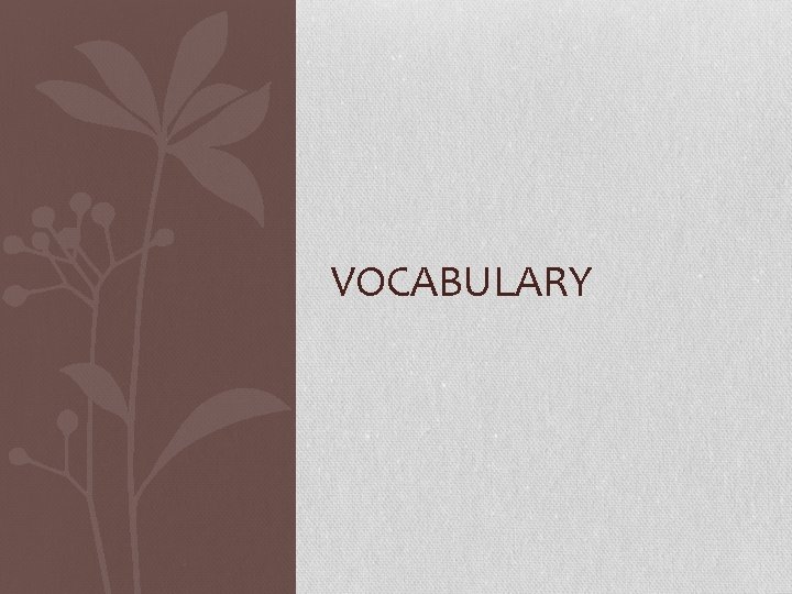 VOCABULARY 