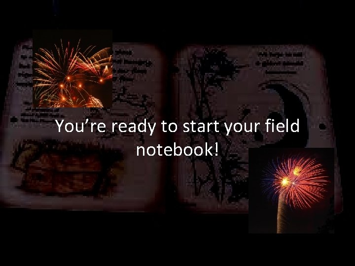 You’re ready to start your field notebook! 