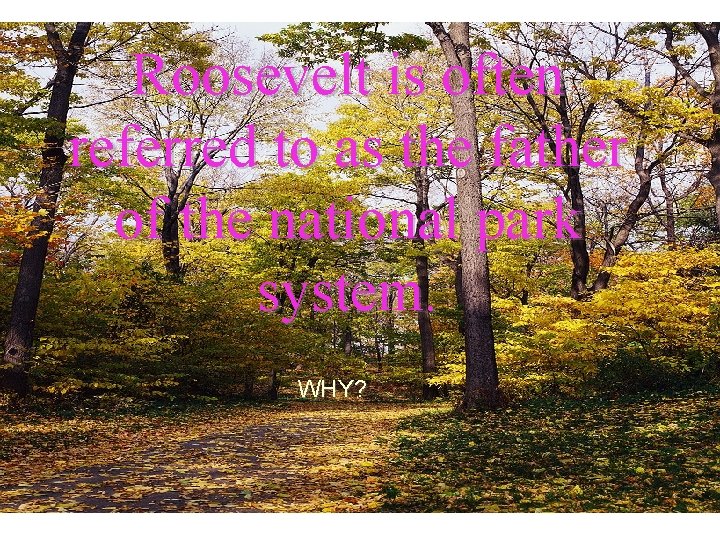 Roosevelt is often referred to as the father of the national park system. WHY?