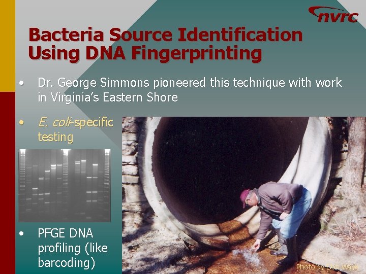 Bacteria Source Identification Using DNA Fingerprinting • Dr. George Simmons pioneered this technique with