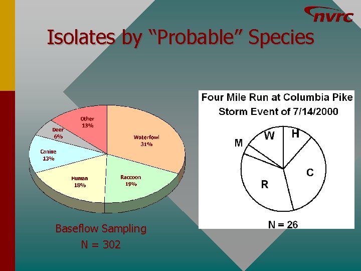 Isolates by “Probable” Species Baseflow Sampling N = 302 