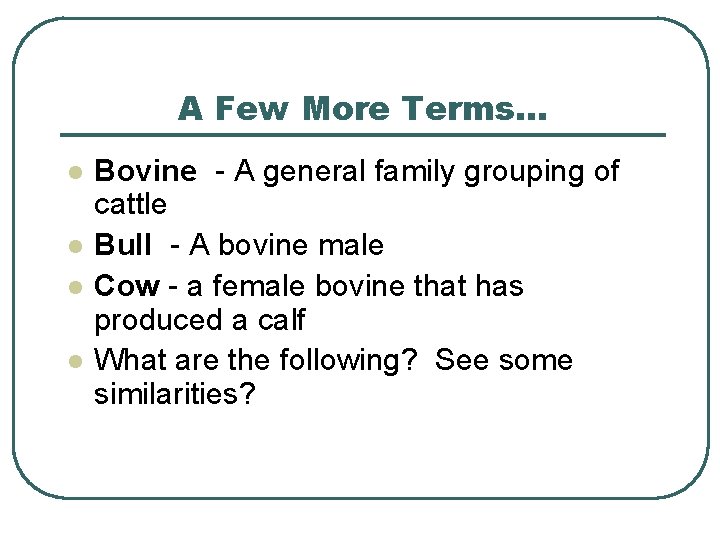 A Few More Terms… l l Bovine - A general family grouping of cattle