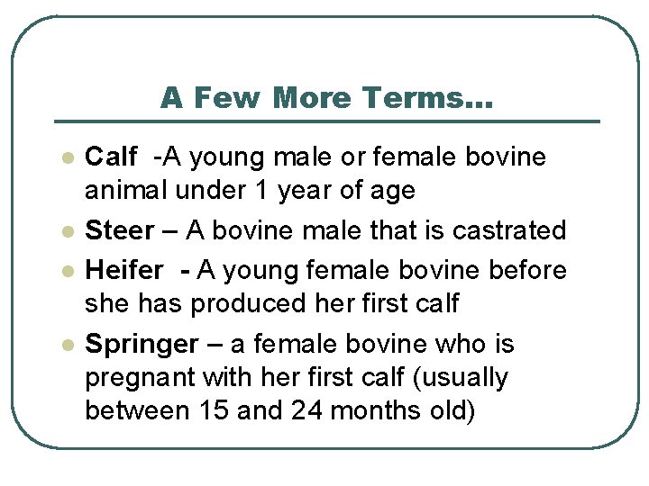 A Few More Terms… l l Calf -A young male or female bovine animal