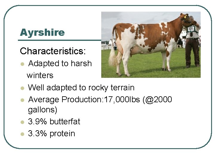 Ayrshire Characteristics: Adapted to harsh winters l Well adapted to rocky terrain l Average