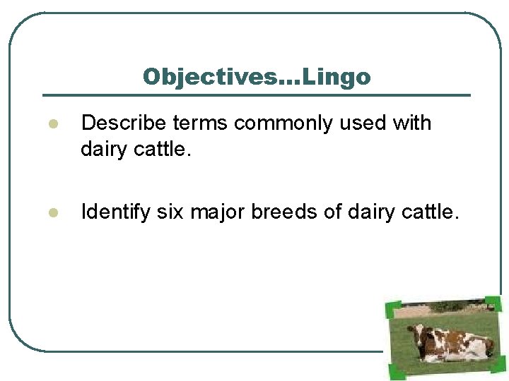 Intro to Dairy Cattle ObjectivesLingo l Describe terms