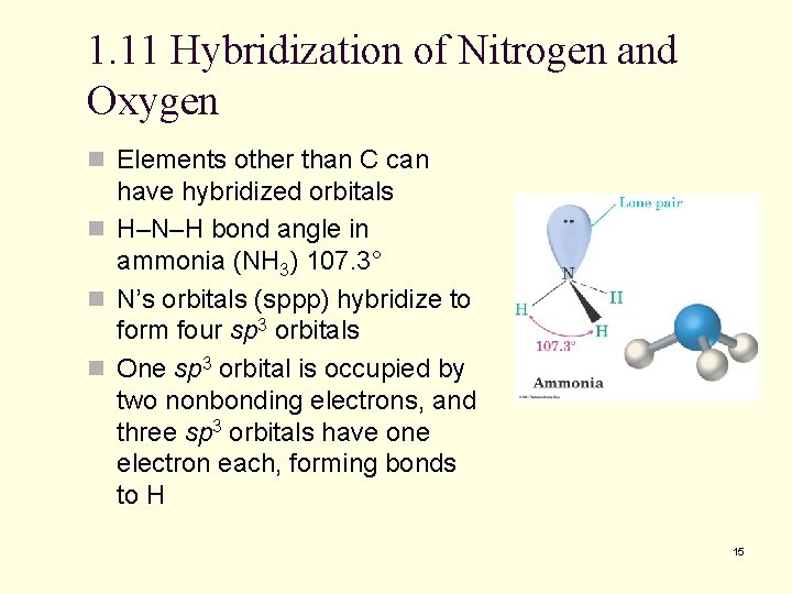 1. 11 Hybridization of Nitrogen and Oxygen n Elements other than C can have