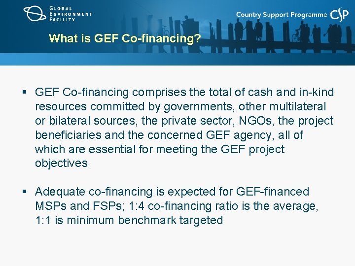 What is GEF Co-financing? § GEF Co-financing comprises the total of cash and in-kind