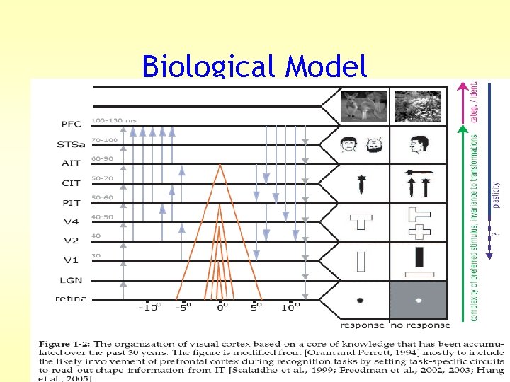Object Recognition with Features Inspired by Visual Cortex