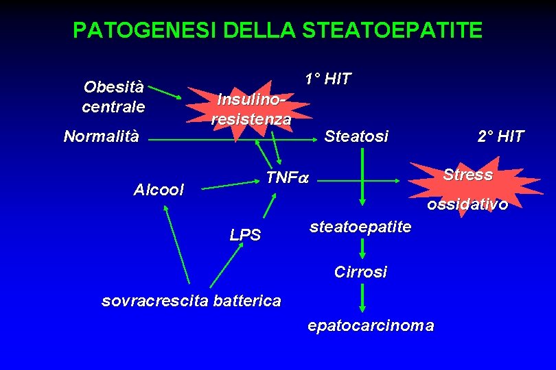 PATOGENESI DELLA STEATOEPATITE Obesità centrale Normalità 1° HIT Insulinoresistenza Steatosi 2° HIT Stress TNFa