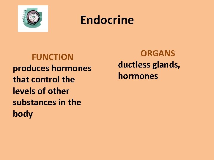 Endocrine FUNCTION produces hormones that control the levels of other substances in the body