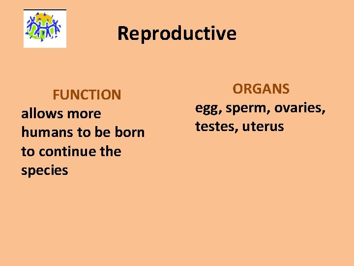 Reproductive FUNCTION allows more humans to be born to continue the species ORGANS egg,