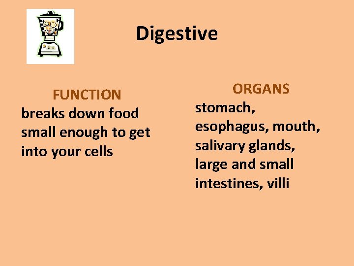 Digestive FUNCTION breaks down food small enough to get into your cells ORGANS stomach,