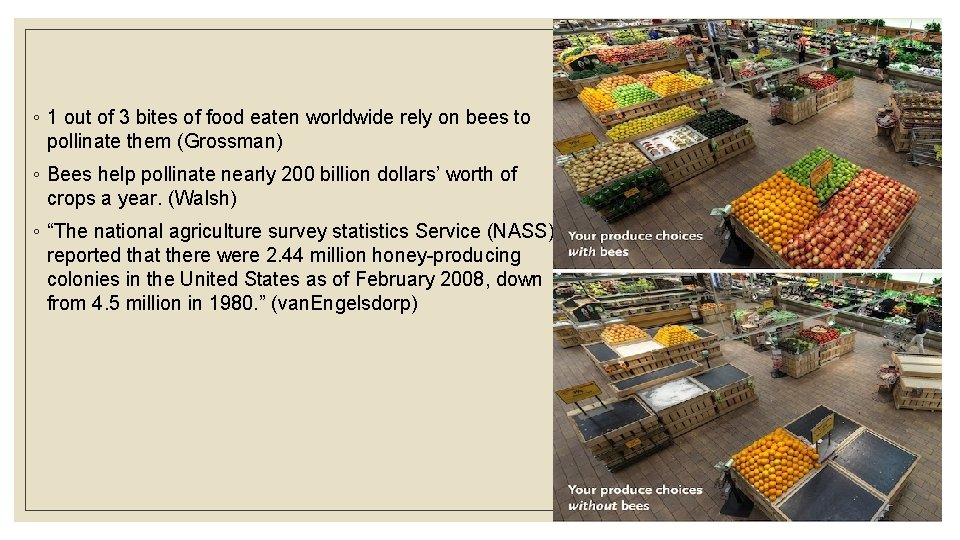 ◦ 1 out of 3 bites of food eaten worldwide rely on bees to