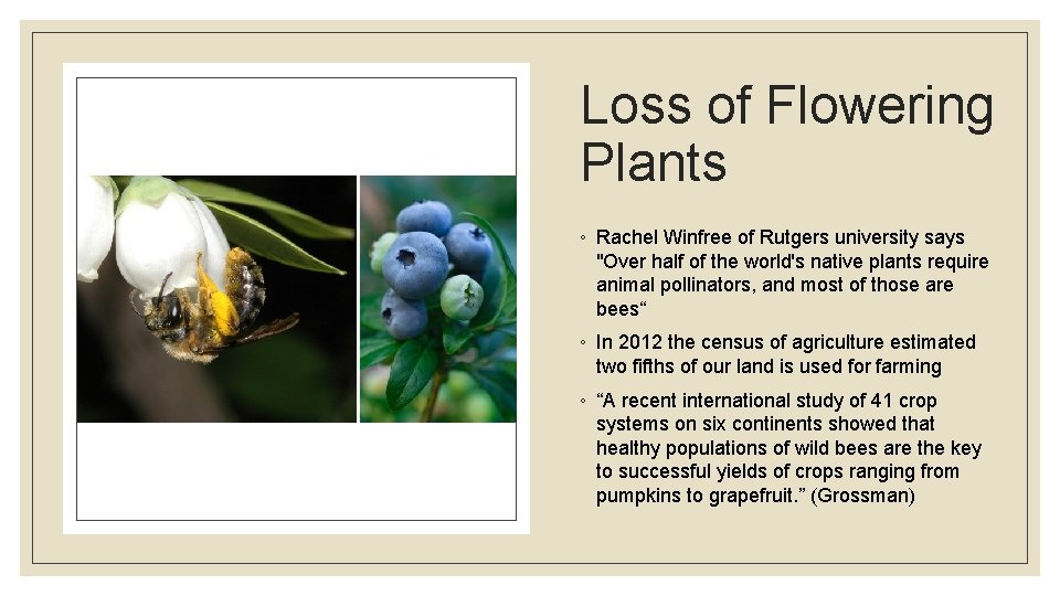 Loss of Flowering Plants ◦ Rachel Winfree of Rutgers university says "Over half of