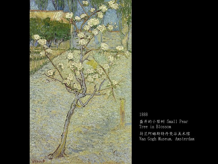 1888 盛开的小梨树 Small Pear Tree in Blossom 荷兰阿姆斯特丹梵谷美术馆 Van Gogh Museum, Amsterdam 