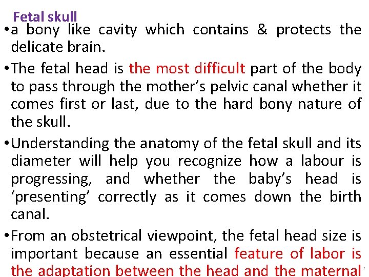 Fetal skull • a bony like cavity which contains & protects the delicate brain.