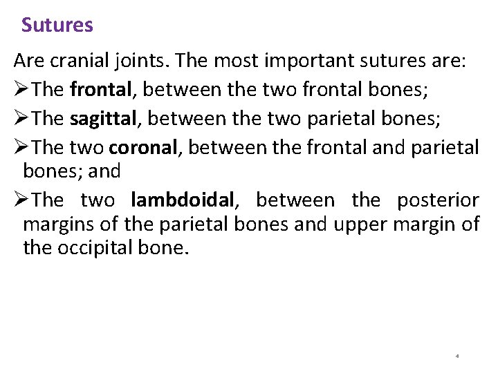 Sutures Are cranial joints. The most important sutures are: ØThe frontal, between the two